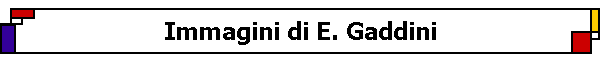 Immagini di E. Gaddini