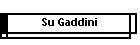 Su Gaddini