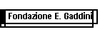 Fondazione E. Gaddini